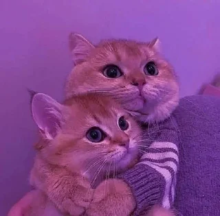 💓