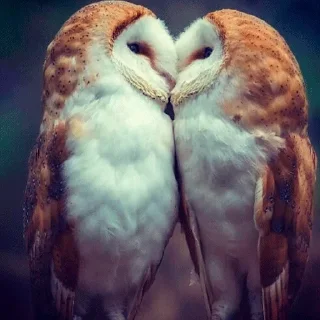🥰