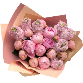 🌸