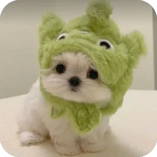 🧸