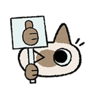 😺
