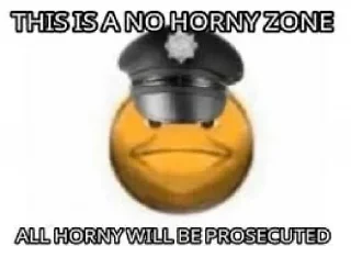 👮‍♂️