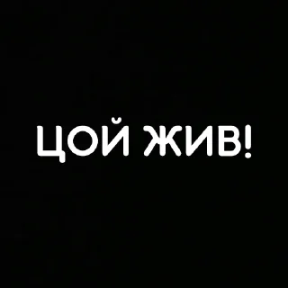 ‼️