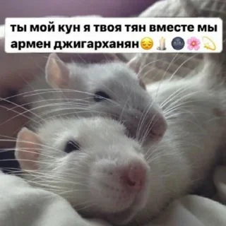 🥰
