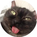 😗