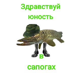 🫣
