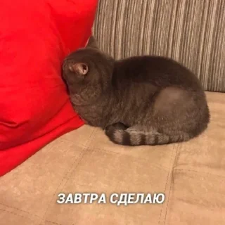 😐