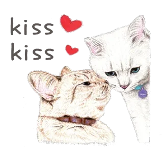 🐱