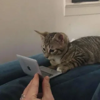 👨‍💻
