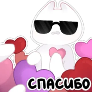 😎