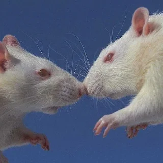 ❤️