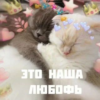 💕