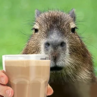☕