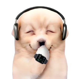 😮‍💨