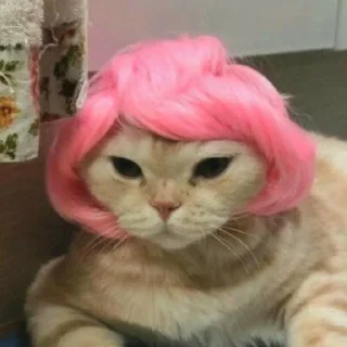 🎀