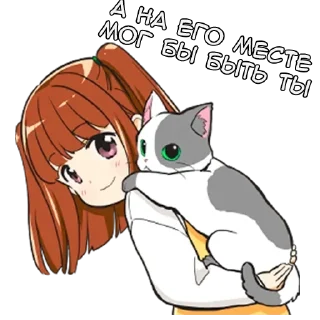 😼