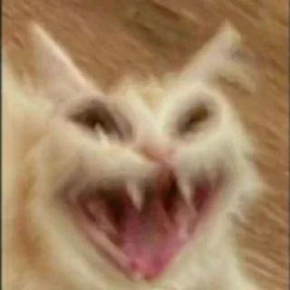 🤣