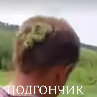 🤩