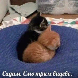 😭