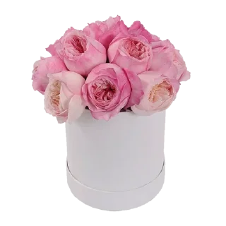 💐