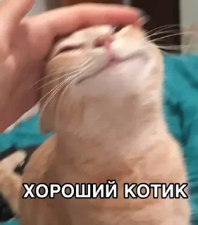 😊