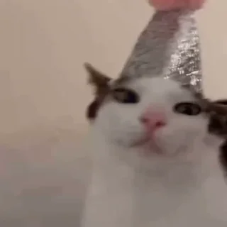 🥳