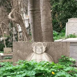 🐻