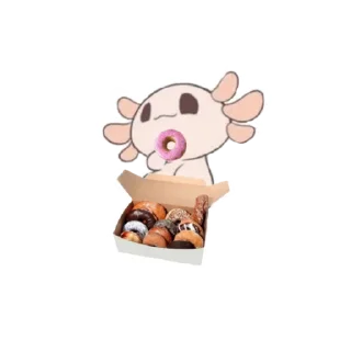 🍩