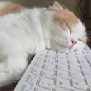 😴