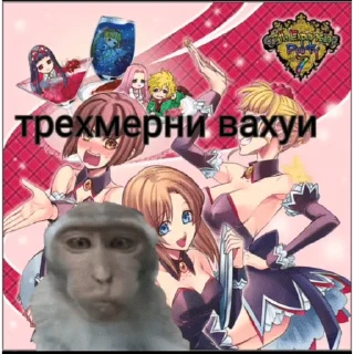 🐵