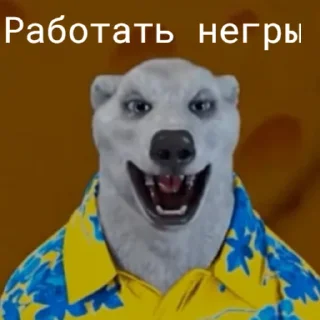 🫡