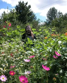 🌸