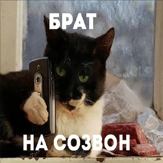 ☎️