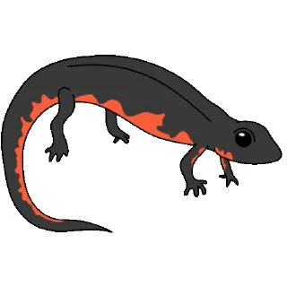🦎
