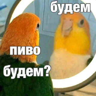 😏