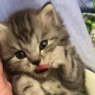😏
