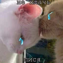 😘