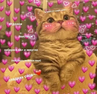 💗