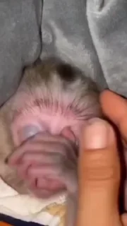🤧