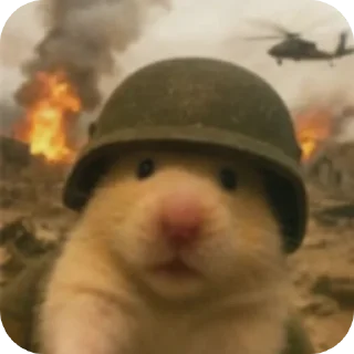 🐹