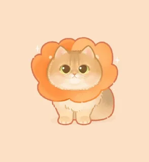Котятки из группы кить