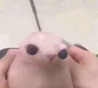 😐