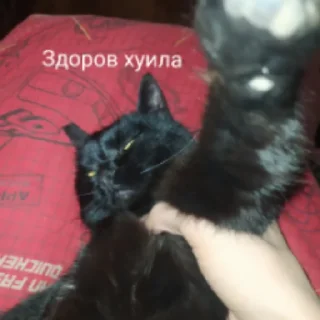 😄