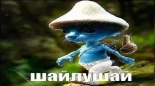 🌟