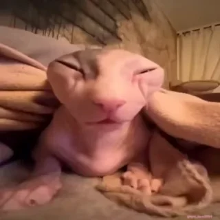 😑