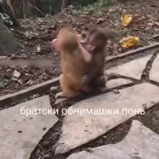 🤗