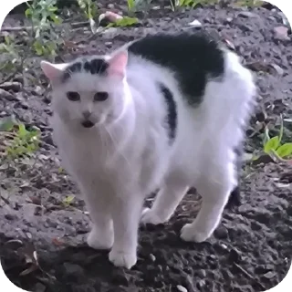 😟