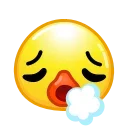 😮‍💨
