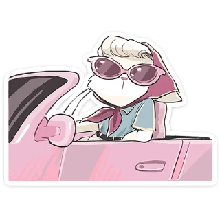 😎