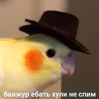🤠